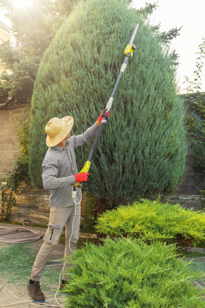 Best Weed Control  in Ranlo, NC